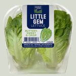 Church Brothers Little Gem Lettuce 4ct 4